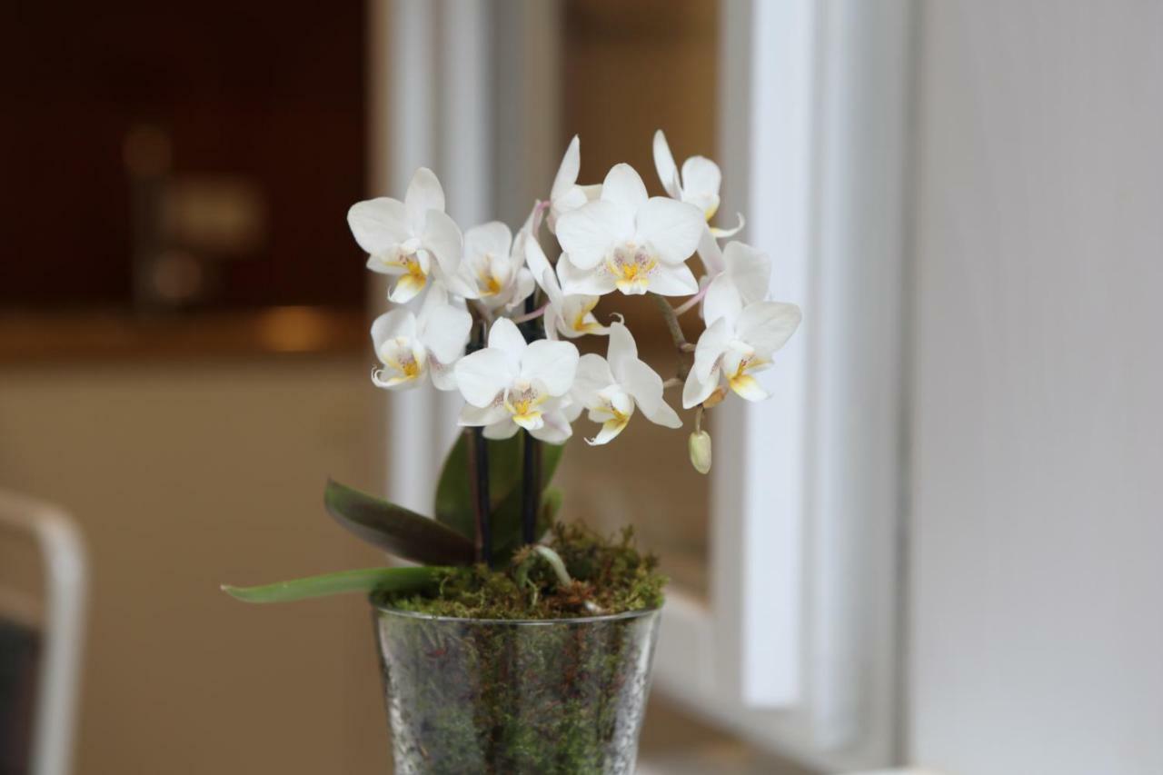 Apartment Addressa ซาเกร็บ ภายนอก รูปภาพ